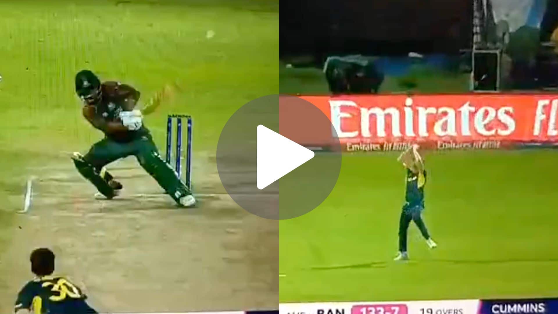 [Watch] Pat Cummins Takes '1st Hattrick Of T20 WC 2024' As He Outfoxes Towhid Hridoy
